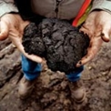 Gas_oil_and_coal